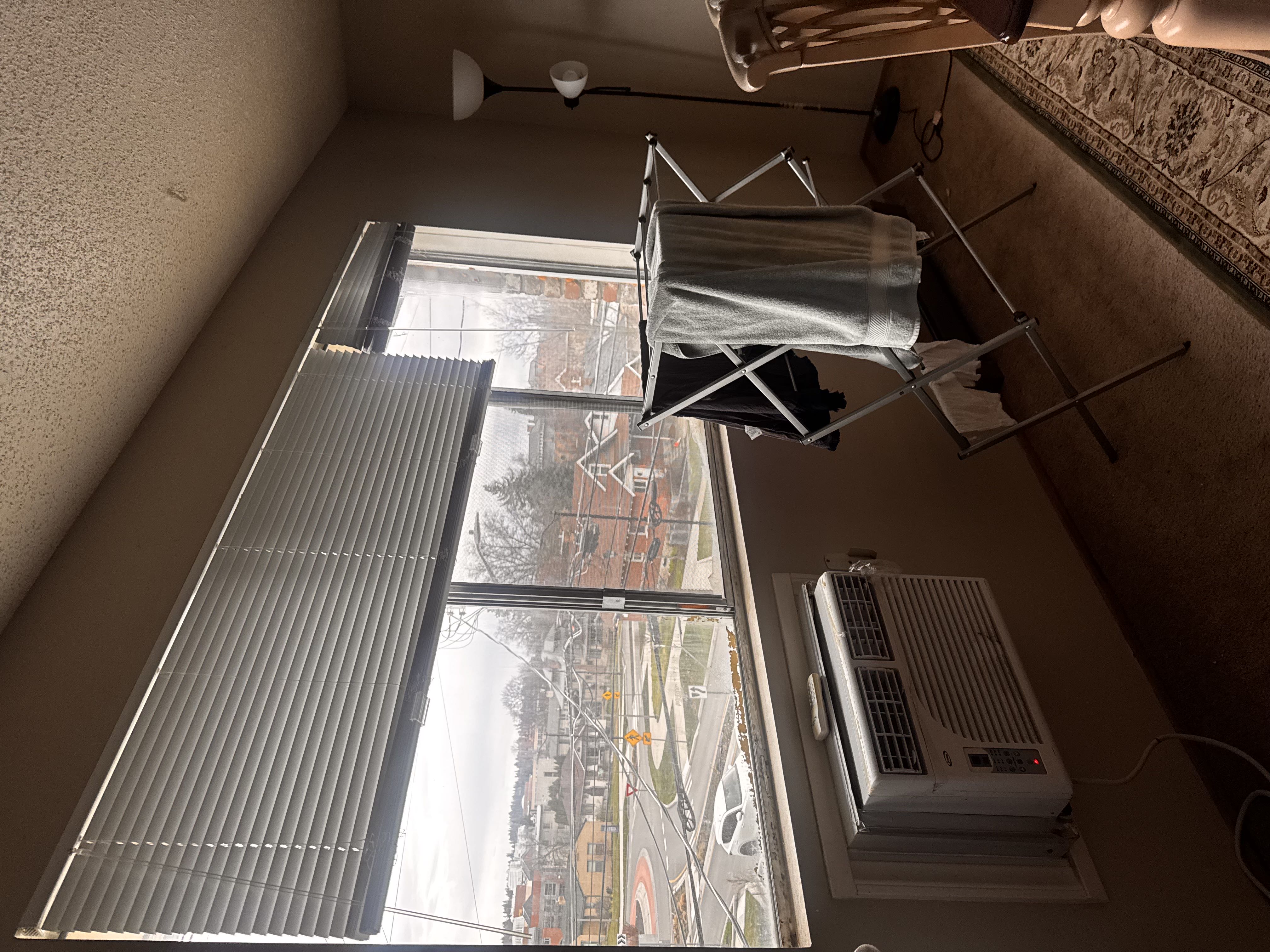 Looking for Female Roommate 